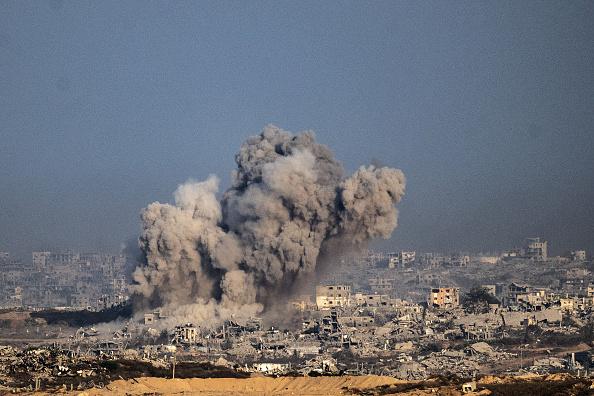 Euro-Med Monitor: Israeli Occupation Destroys 97% of Livestock in Gaza