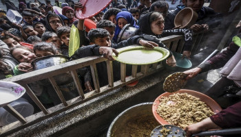 الإعلام الحكومي بغزة: المجاعة تتفاقم والقطاع يحتاج لـ500 شاحنة يومياً