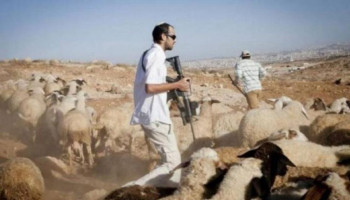 الصهاينة يهاجمون رعاة الأغنام بطائرات مسيّرة شرقي بيت لحم