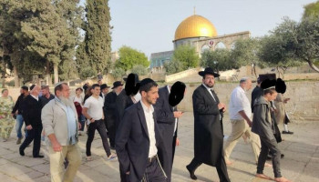 عشرات الصهاينة يدنّسون المسجد الأقصى