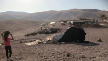 الصهاينة يعتدون على ممتلكات الفلسطينيين في شلال العوجا شمالي أريحا