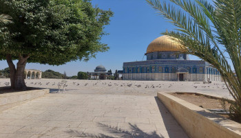 العدو الصهيوني يواصل إغلاق المسجد الأقصى لليوم الـ12