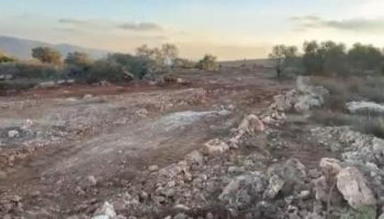 مستوطنون صهاينة يُجرفون 40 دونمًا من أراضي قرية أم صفا برام الله
