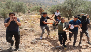 مستوطنون صهاينة يغلقون طريقًا زراعيًا شرقي قلقيلية