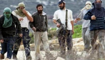 مستوطنون صهاينة يهاجمون المزارعين في واد رحال ببيت لحم