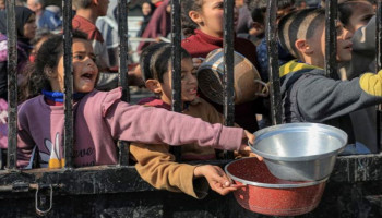 ماذا لو أراد العرب وقف المجاعة في غزّة؟