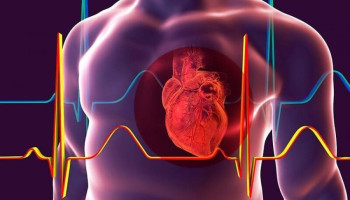 4 نصائح ذهبية للحفاظ على صحة القلب