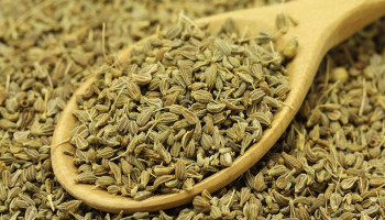 اليانسون وحرقان البول: علاج طبيعي لدعم صحة المسالك البولية