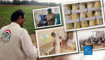 في باجل يُكسر الاستيراد: تنمية زراعية وحيوانية ترسخ الاستقلال الغذائي