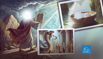 الربط على القلوب.. سنّة إلهية تمد الأمة بالثبات في أحلك الظروف