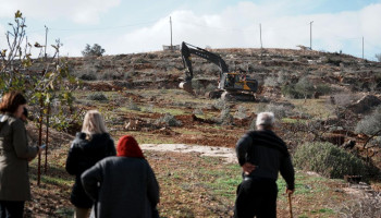 العدو الصهيوني يقتلع مئات الأشجار في الضفة تمهيدًا لمناطق عازلة قرب المستوطنات