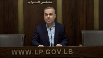 فضل الله: المقاومة تدافع عن لبنان أمام المشروع التوسعي الصهيوني