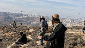 مستوطنون صهاينة يعتدون على طفل فلسطيني جنوب نابلس
