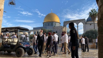 147 مستوطنًا صهيونيًّا يقتحمون الأقصى وسط دعوات فلسطينية للحشد والرباط في المسجد