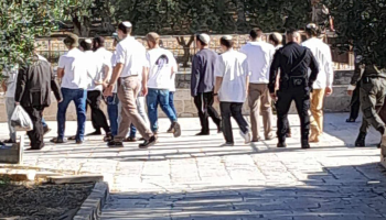 مئات المستوطنين الصهاينة يقتحمون باحات المسجد الأقصى بحماية مشددة من قوات العدو