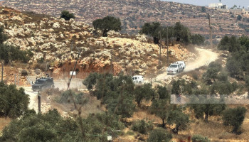 الأمم المتحدة: نحو 3 آلاف هجوم للمستوطنين الصهاينة في الضفة منذ مطلع 2025