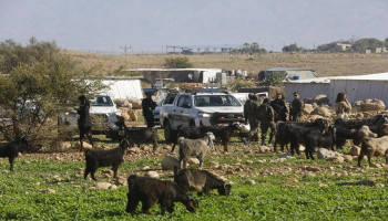 مستوطنون صهاينة يمنعون رعاة فلسطينيين من الوصول إلى المراعي في الأغوار الشمالية