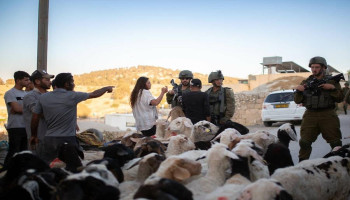 إصابة 3 فلسطينيين واعتداء على ممتلكات الأهالي في برية زعترة