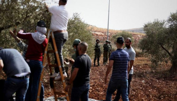 العدو الصهيوني والمستوطنون يمنعون مزارعين من قطف الزيتون في كفر نعمة وبرقا