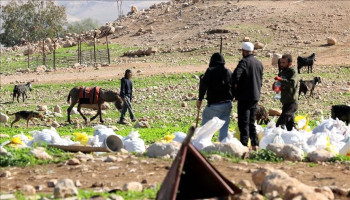 فلسطينيون يتصدّون لمستوطنين حاولوا سرقة قطيع ماشية شرق طوباس
