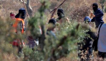 إصابة 3 فلسطينيين باعتداءات مستوطنين صهاينة على قاطفي الزيتون في نابلس ورام الله