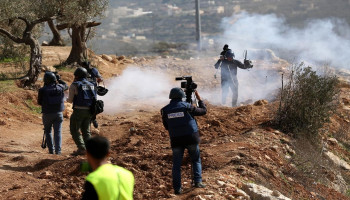 " هيئة مقاومة الجدار": 19 اعتداءً صهيونيًا على قاطفي الزيتون بالضفة المحتلة خلال اليوم