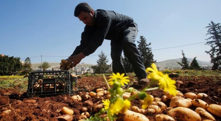 563 مليون دولار عجز الميزان التجاري الفلسطيني خلال أبريل 2025