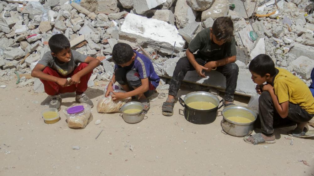 "الأغذية العالمي": فرص مواجهة المجاعة في غزة تتلاشى بسرعة