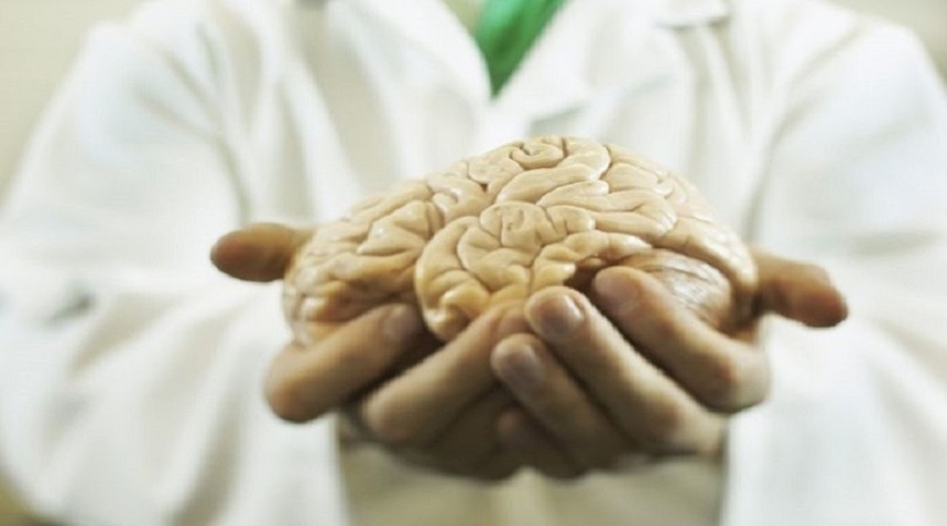 كيف يحافظ الصيف على صحة دماغك؟ بين مزاياه وتحدياته