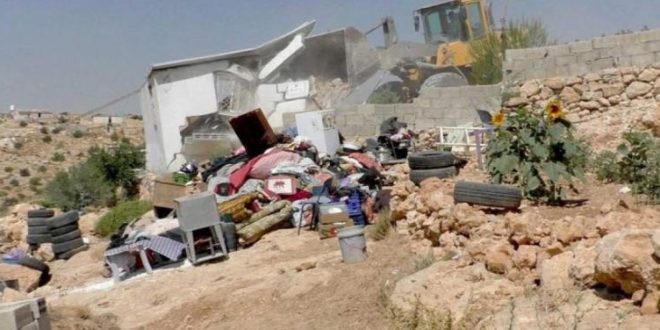 مستوطنون صهاينة يتلفون مزروعات الفلسطينيين ويسرقون حماراً جنوبي الخليل