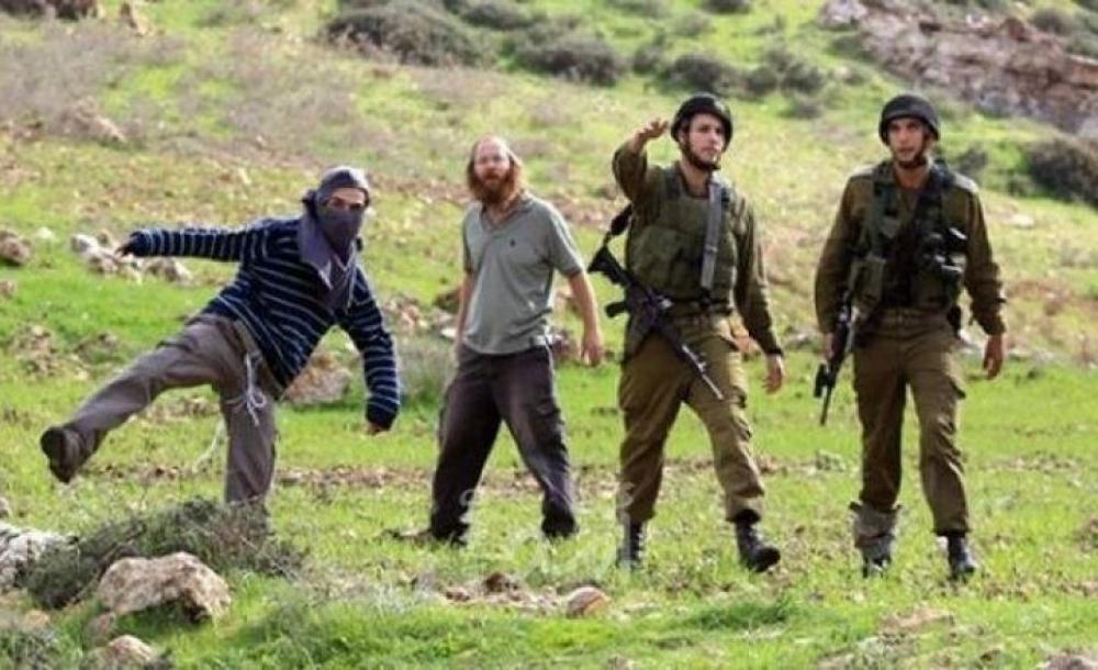إصابة مسن فلسطيني باعتداء مستوطنين صهاينة عليه في بيت لحم