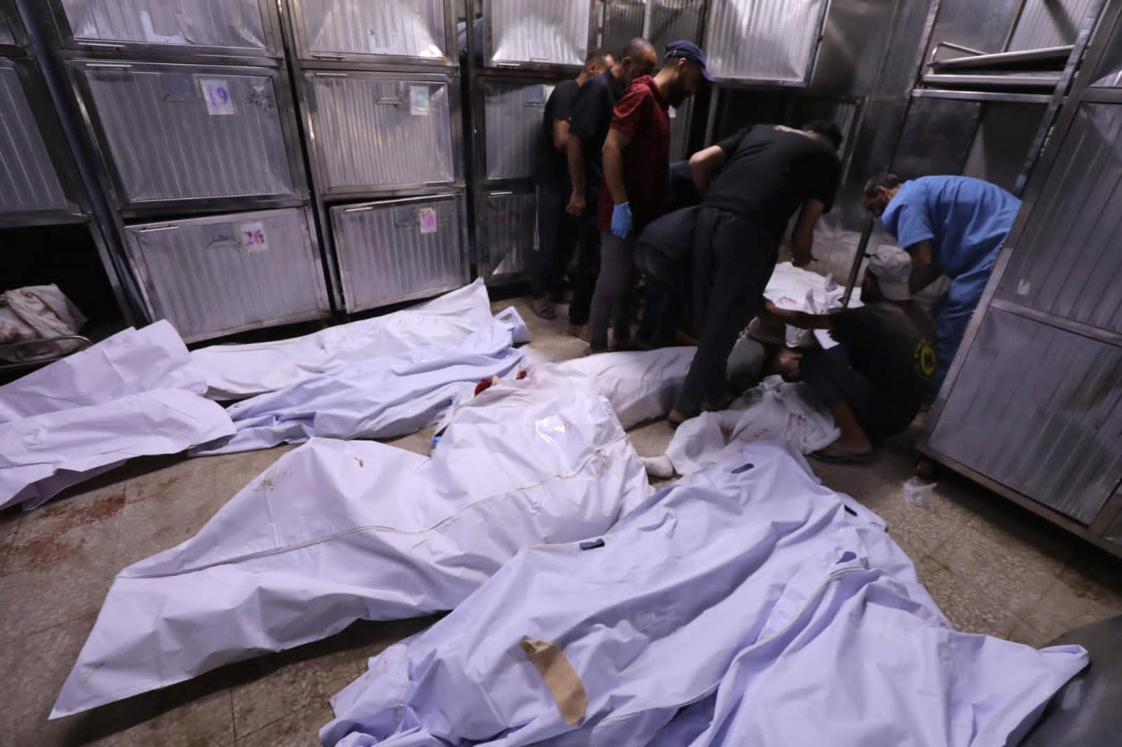 ارتقاء 35 شهيدا بينهم 29 من طالبي المساعدات في غزة