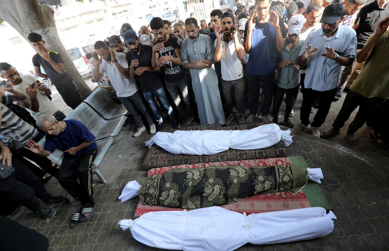 إرتقاء 8 شهداء وعشرات المصابين بنيران العدو في غزة