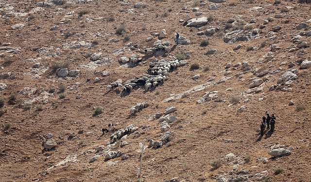 إصابات بهجمات للمستوطنين الصهاينة جنوبي طوباس وتجمعات بدوية قرب القدس المحتلة