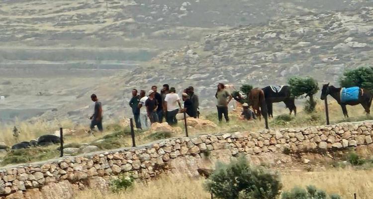 مستوطنون صهاينة يهاجمون أراضي الفلسطينيين ويرعون أغنامهم في المغير
